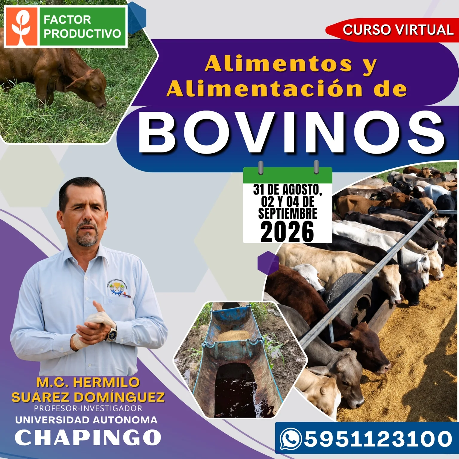 Flyer del curso Alimentos y Alimentación de Bovinos
